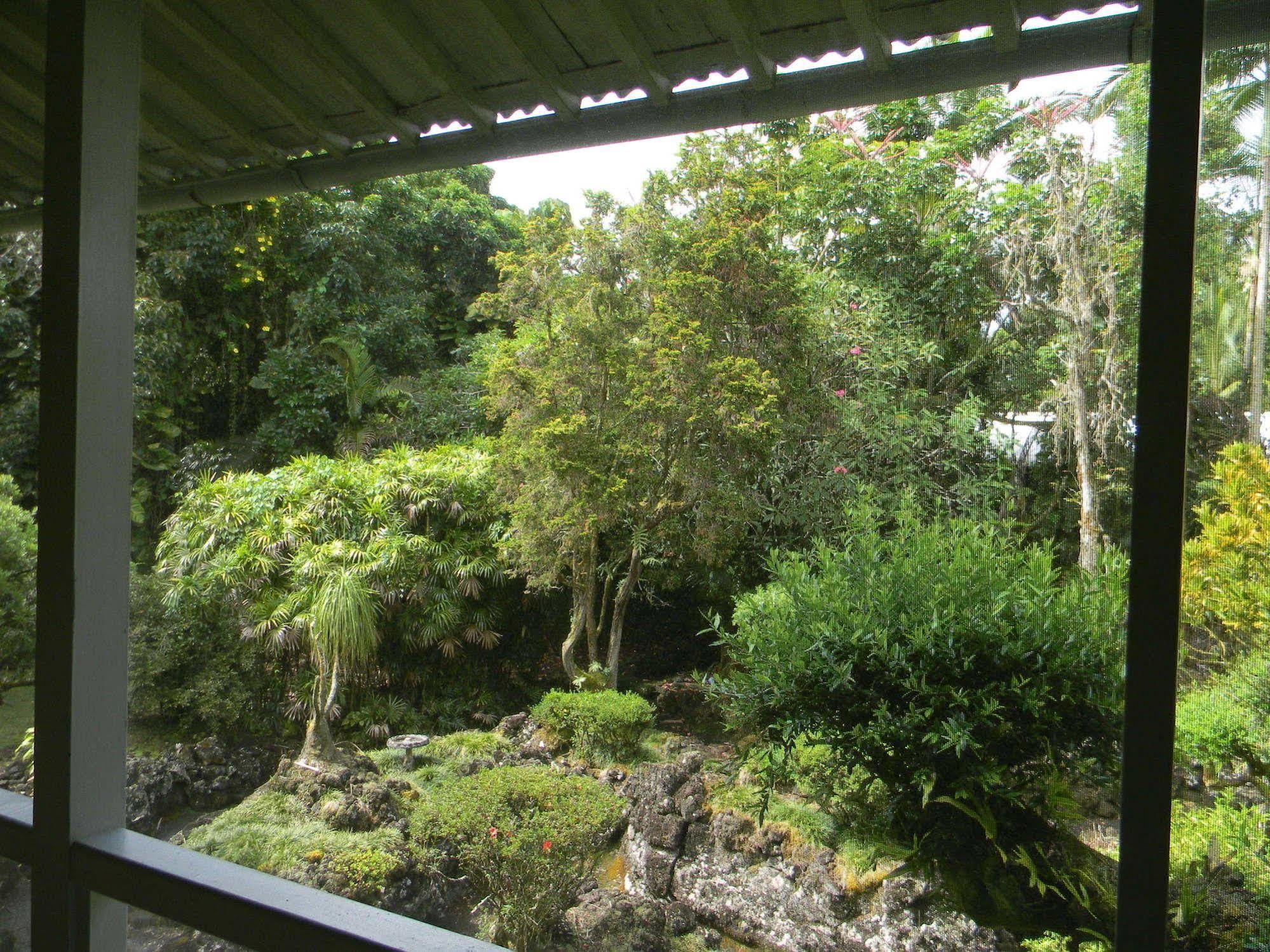 Maureen'S Bed And Breakfast Hilo Exterior photo